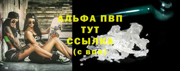 спиды Кукмор