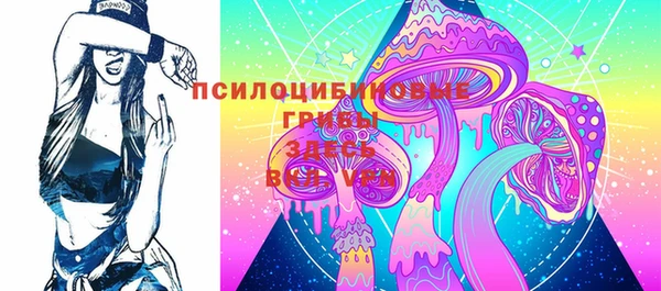ешки Куйбышев