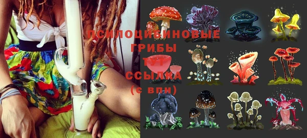 эйфоретик Кулебаки