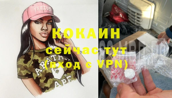 спиды Кукмор
