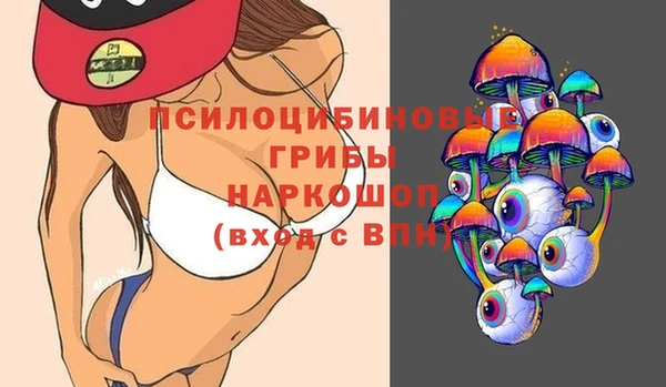 спиды Кукмор