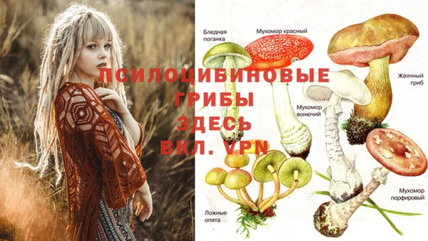 ешки Куйбышев