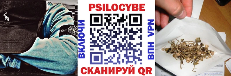 kraken как зайти Советск Псилоцибиновые грибы Magic Shrooms где найти наркотики