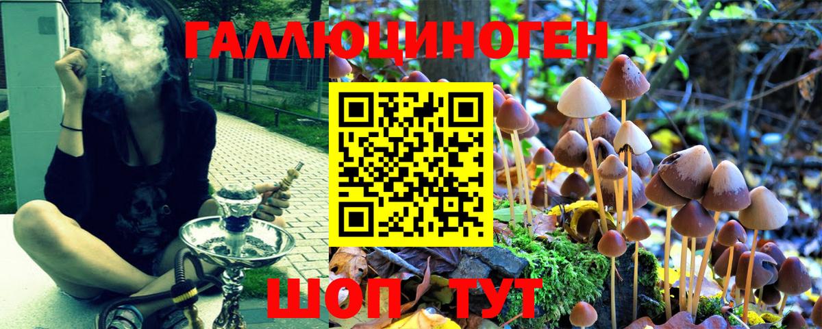 Псилоцибиновые грибы мухоморы Советск