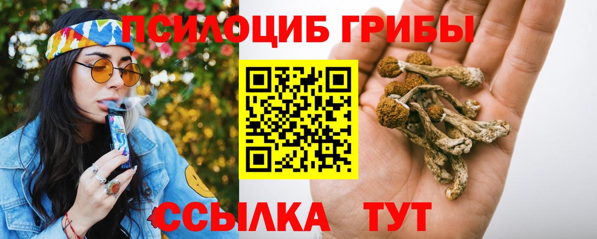 Советск  Галлюциногенные грибы мухоморы  Вход с VPN  Галлюциногенные грибы прущие грибы 