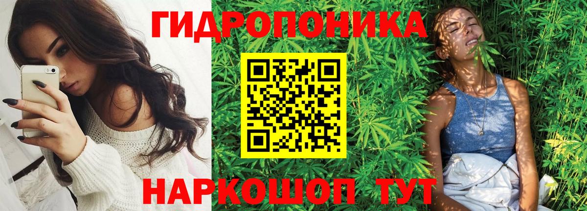 Бошки Шишки индика Советск